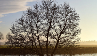 Exter Hochwasser