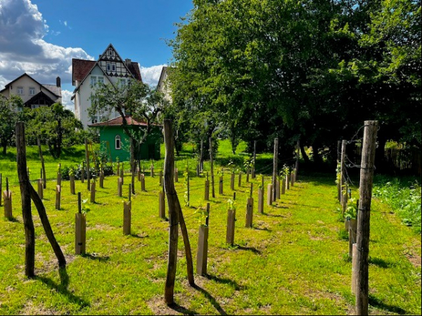 Garten Ellersiek